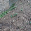 놀부농장 이미지