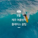 [8월 제주여행] 여름 제주여행 추천 코스 @플레이스 캠프 제주(혼자여행/커플여행/가족여행)