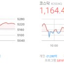 주식회사 제이엠텍홀딩스 | 마감시황 2026/01/29(목) - 코스피5,221.25△50.44(+0.98%), 코스닥 1,164.41△30.89(+2.73%)
