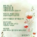 시글 이미지
