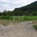 고성탑공인중개사사무소 네이버블로그