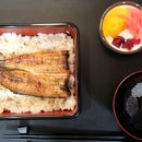 세끼모토
