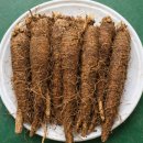 토종슈퍼 이미지