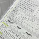윈터블뷰티