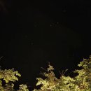 백운면 2200 | 제천 리솜포레스트 24평 200%사용 꿀팁 및 찐후기