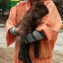 승희농장 이미지