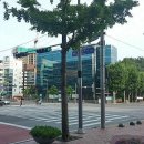 문앤박한의원 Daum카페