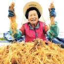 사성2리 이미지