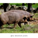 청석골참숯구이 이미지