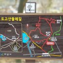 충남댁 이미지