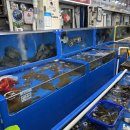 공주수산 | 믿고 찾는 공주수산 방문 후기, 대천수산시장 수산물 추천