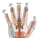 고려수지요법학회 이미지