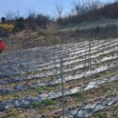 전원 부동산 중개인 사무소 이미지