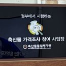 오가네 암소고기
