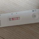 SOK 속편한내과의원 이미지