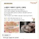 해마루스튜디오