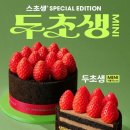 투썸 위키트리