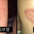 한동하한의원 한국경제