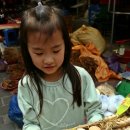 큰골영농조합법인 조선일보