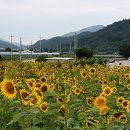 무촌마을 이미지