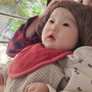 정문구사 | 용인에버랜드 로스트밸리에서 기린 혀 낼름 본 생생 후기