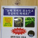 워시프렌즈셀프빨래방양천구 네이버블로그