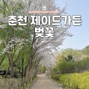강원도 춘천 제이드가든 수목원 벚꽃 입장료 예약 할인
