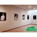 130322 엑소(EXO) 시우민(XIUMIN/민석/김민석) 청담 갤러리원 만두넷 전시회 &lt;봄, 김민석&gt; 전시회 후기