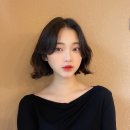 제일미장원 - 아산시 | 제일미장원