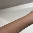 디브로 | 등드름바디워시 추천 바디브로 샤워 루틴 바꿔본 후기