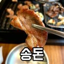 봉화산 한우농장 | 원주삼겹살 원주소고기 구워주는곳 단계동맛집고깃집 송돈