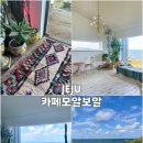 주식회사 제주케이지투어 | 제주 구좌 오션뷰 카페 모알보알 후기｜바다 바로 앞 개방감 끝판왕