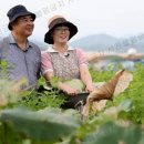 백림정 이미지