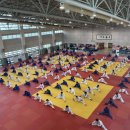 용인대유도체육관 이미지