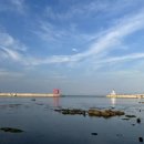 손영환비빔국수칼국수서창직영점 이미지