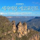 선물같은오늘 - 청주시 서원구 | [호주 시드니여행] 바쁜일상 속에 나에게 주는 선물같은 시간 호주 시드니 여행 후기