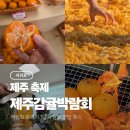 공천포전지훈련센터(실외) | 제주 감귤박람회 1일차 후기 주차 꿀팁 제주 축제