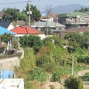 남양행정사사무소 이미지