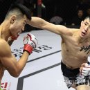 챔피언 한국미디어뉴스통신