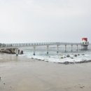 관광시설관리사업소 앞 이미지