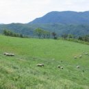 풍산목장 이미지