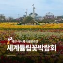 새농민농장 | 충남 서산 태안 여행 아이와 가볼만한곳 4월 태안 세계튤립꽃박람회