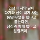 새해 복 많이 받으세요 이미지