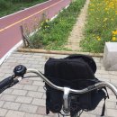 CH 스크린 골프장 | 저자극선크림 홀인원크림 '아델리오 선크림'