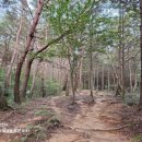 석갑산 등산로 화장실 1 이미지