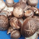 뜨락농원 이미지