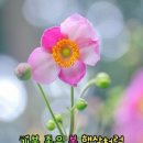 월요일 이미지