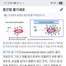 중배엽줄기세포 탯줄 골수 지방 ㅋ 주파수장애인들 이름주입특징 보지둘레들새끼가 괜히 토크도 ㅋㅋ 이미지