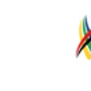 태권도 branch 이미지