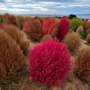 슬도주차장 이미지